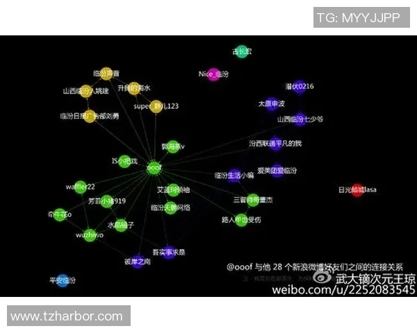 全球足球明星粉丝数量排行榜揭示社交媒体影响力与球迷文化的深度分析