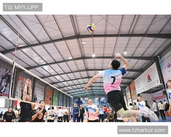 排球巨献:深入解析杭州排球队的耐力训练与竞技精神 排球巨献:深入解析杭州排球队的耐力训练与竞技精神