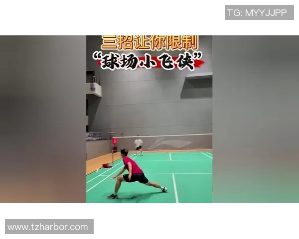 深入分析北京羽毛球队独特的节奏打法与战术特点