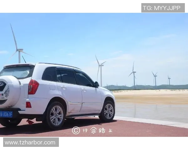 深度对话赵伟分享排球人生的成长与挑战之路 深度对话赵伟分享排球人生的成长与挑战之路