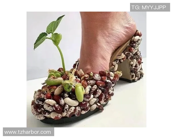 荷兰街头花式足球明星展现独特技艺引领潮流风尚 荷兰街头花式足球明星展现独特技艺引领潮流风尚